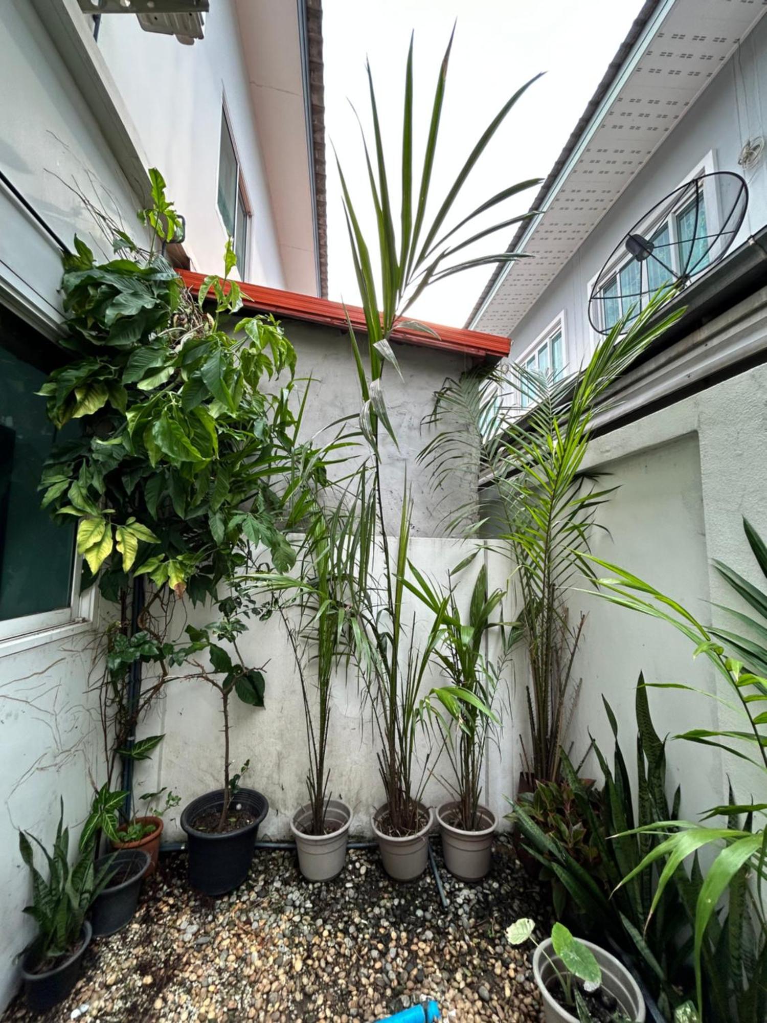 ไนซ์สเตย์ เฮาส์ แอทคลองสาม รังสิต คลองหลวง ปทุมธานี Nice Stay House At Khlong Sam - Rangsit - Khlong Luang - Phathumthani Ngoại thất bức ảnh